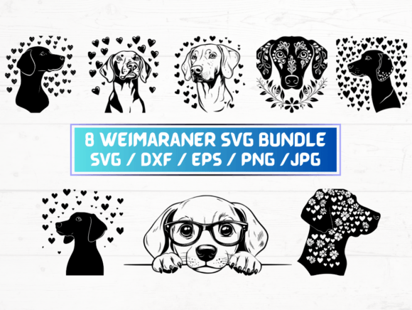 8 Weimaraner SVG, DXF, EPS, JPG, PNG – A Digital Asset for Creative and Practical Use